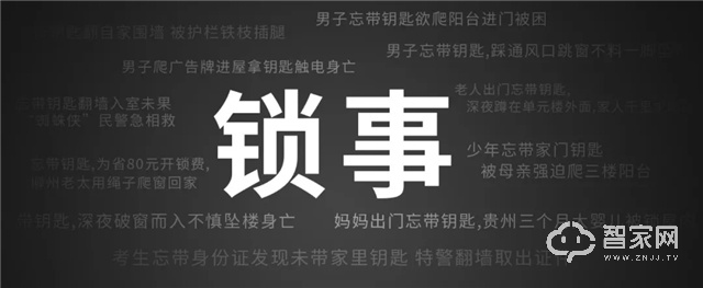 “锁”事无小事，扬子智能锁为您轻松解决！